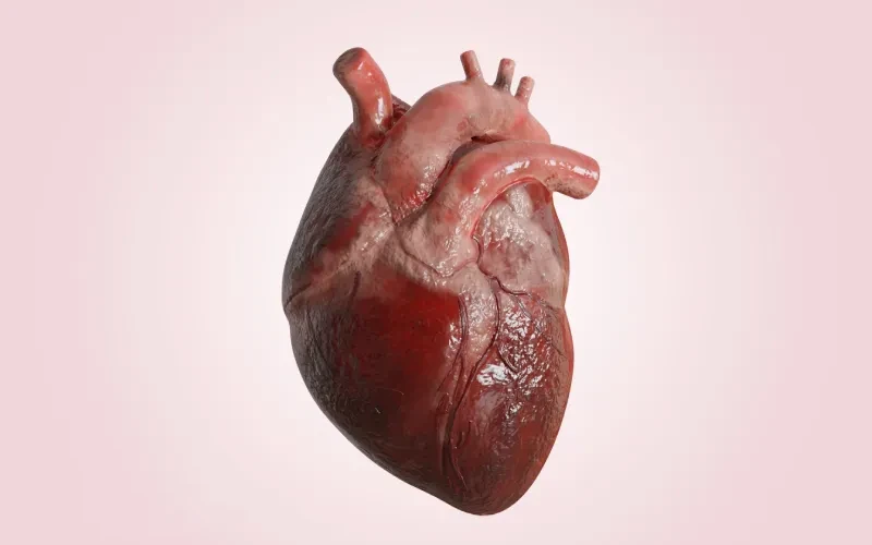 متن عاشقانه درباره قلب