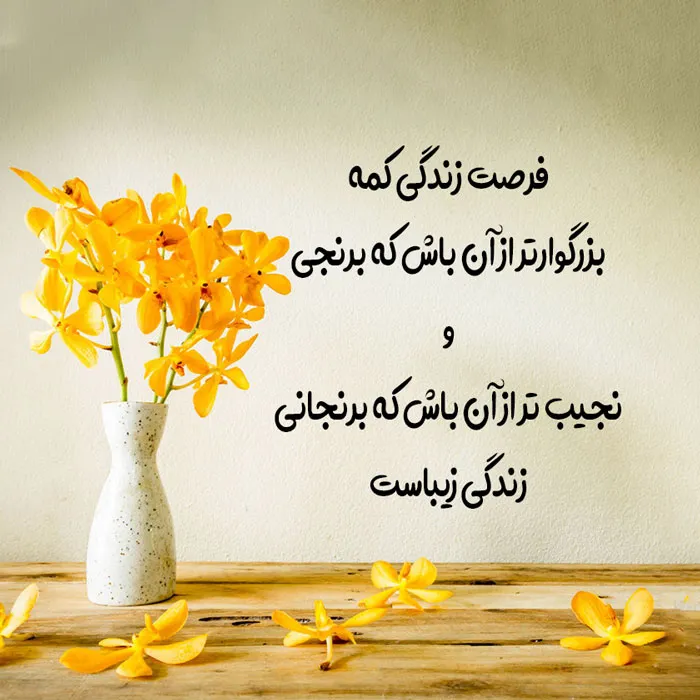 متن در مورد زندگی