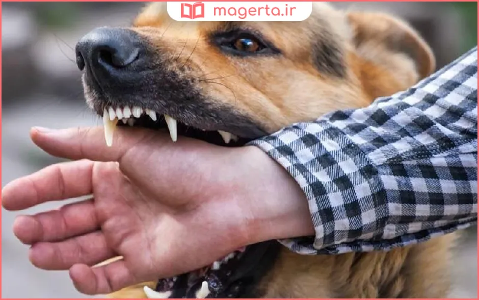 چه حیواناتی ناقل هاری هستند؟