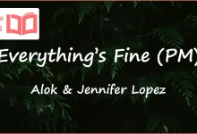 متن و ترجمه آهنگ Everything’s Fine (PM) از Alok و Jennifer Lopez