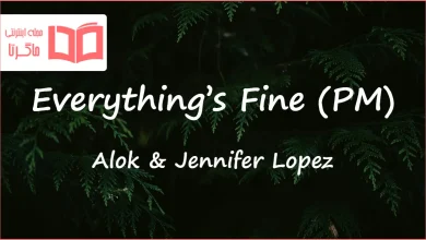 متن و ترجمه آهنگ Everything’s Fine (PM) از Alok و Jennifer Lopez