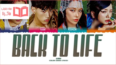 متن و ترجمه آهنگ Back To Life از KARD