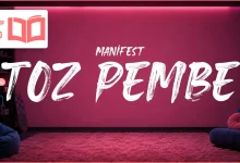 متن و ترجمه آهنگ Toz Pembe از manifest