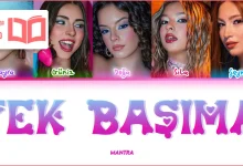 متن و ترجمه آهنگ Tek Başıma از MANTRA