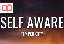 متن و ترجمه آهنگ Self Aware از Temper City