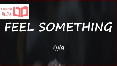 متن و ترجمه آهنگ FEEL SOMETHING از Tyla
