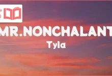 متن و ترجمه آهنگ MR. NONCHALANT از Tyla