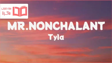 متن و ترجمه آهنگ MR. NONCHALANT از Tyla