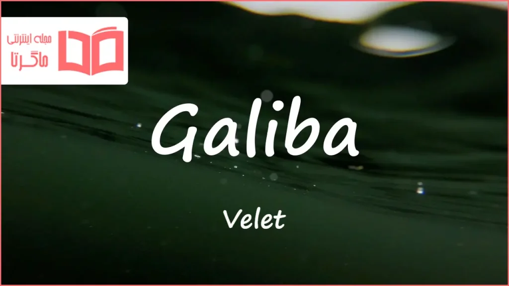 متن و ترجمه آهنگ Galiba از Velet