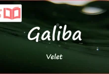 متن و ترجمه آهنگ Galiba از Velet