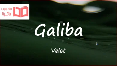 متن و ترجمه آهنگ Galiba از Velet