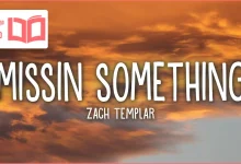 متن و ترجمه آهنگ Missin something از Zach Templar