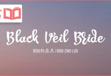 متن و ترجمه آهنگ Black Veil Bride از Zhao Lusi
