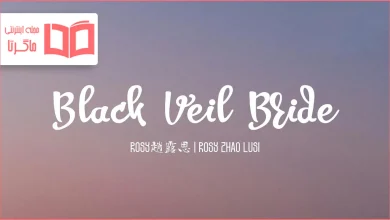 متن و ترجمه آهنگ Black Veil Bride از Zhao Lusi