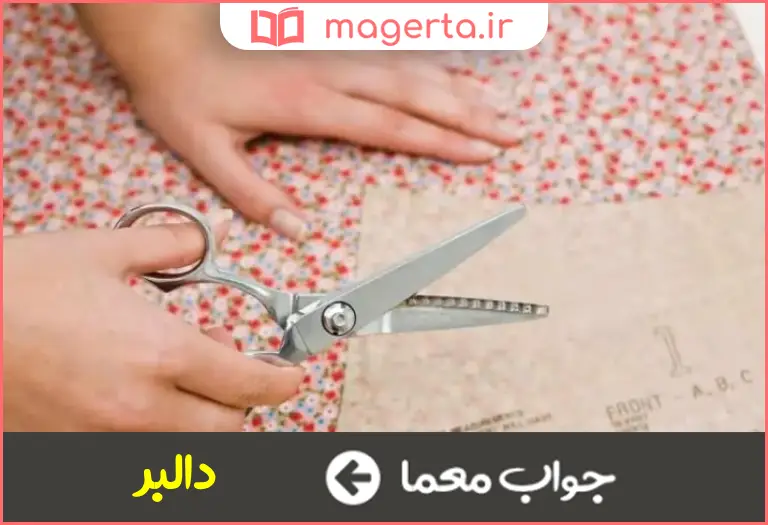 جواب معما بی تجربه در جدول