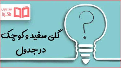گلی سفید و کوچک در جدول