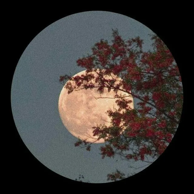 عکس پروفایل طبیعت زیبا برای واتساپ