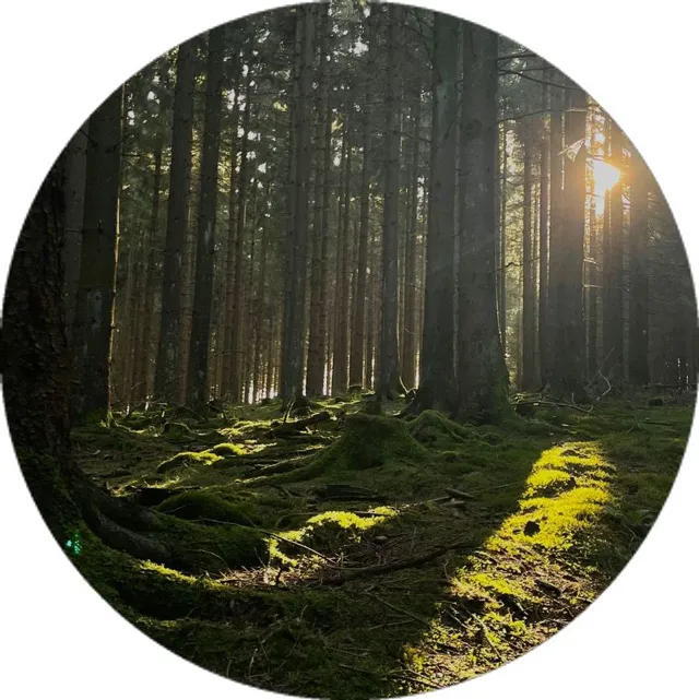 عکس پروفایل طبیعت مینیمال