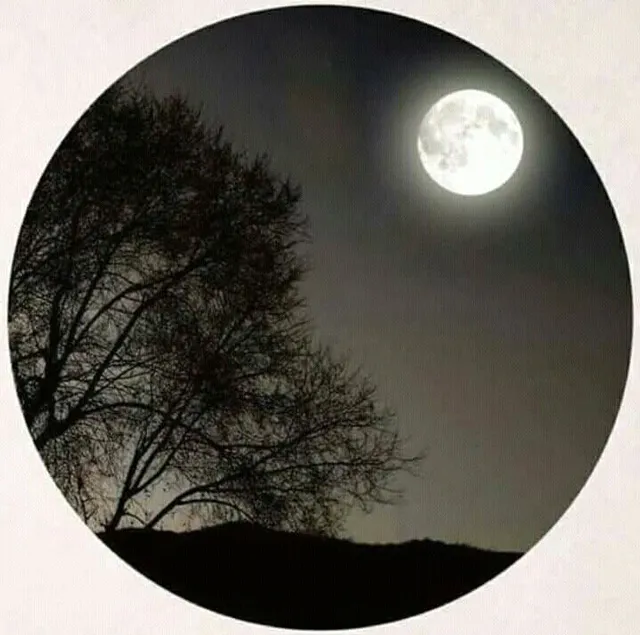 عکس پروفایل طبیعت کوهستانی زیبا
