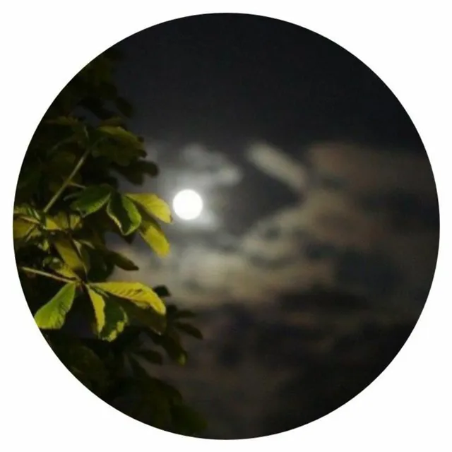 عکس پروفایل طبیعت زیبا