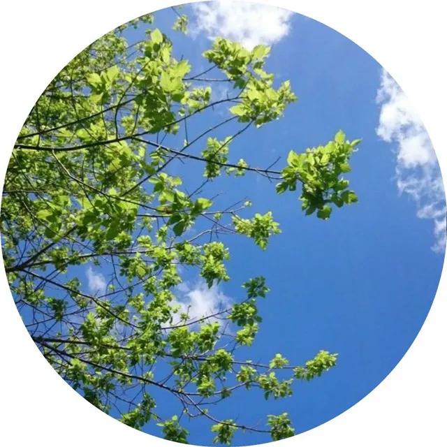 عکس پروفایل منظره طبیعی