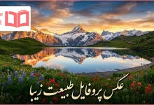 عکس پروفایل طبیعت زیبا
