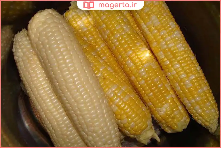 ذرت تازه برای ذرت مکزیکی