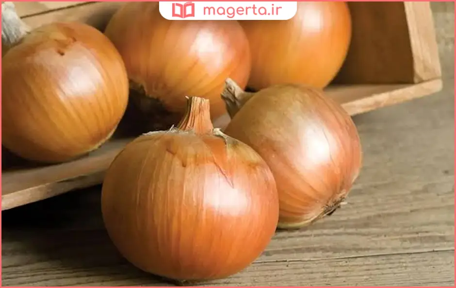 پیاز زرد بهتر است یا سفید برای پیاز داغ