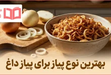 بهترین نوع پیاز برای پیاز داغ