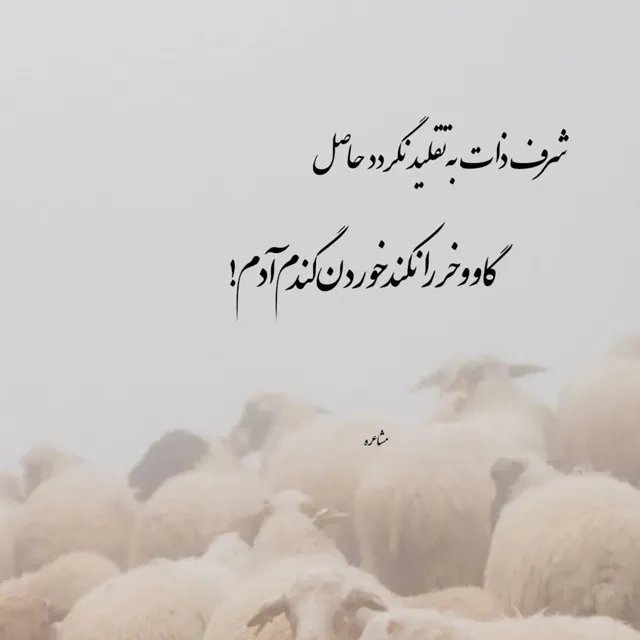 عکس نوشته اعتماد شکسته