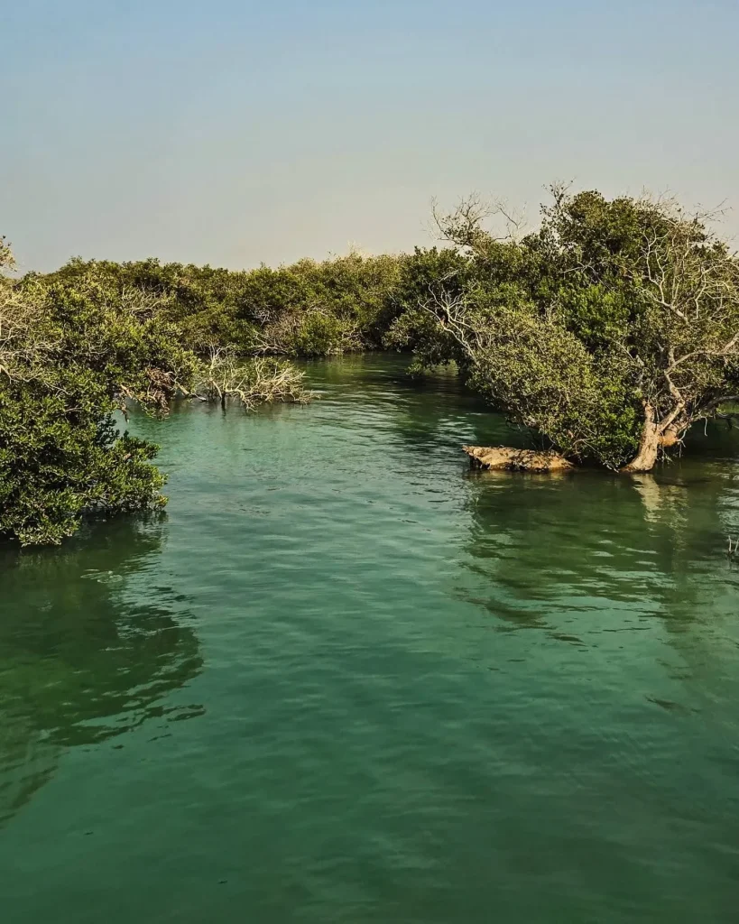 جملات زیبای طبیعت جنگل