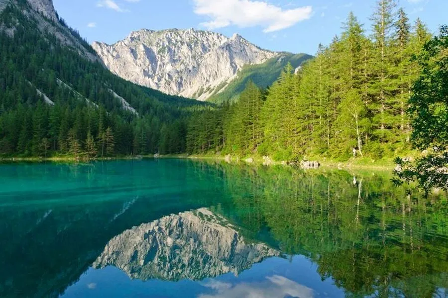 کپشن احساسی برای جنگل