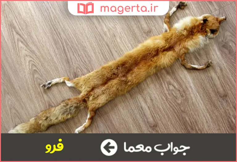 جواب معما پوستین روباه در جدول