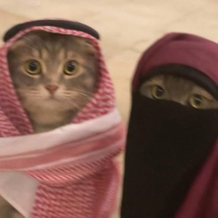 عکس پروفایل خنده دار برای اینستاگرام