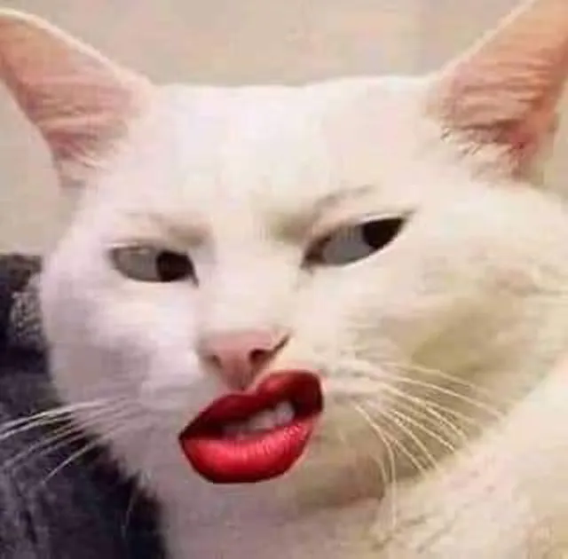 عکس پروفایل فان و بامزه