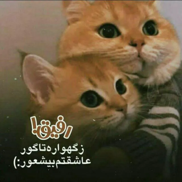 عکس پروفایل خنده دار