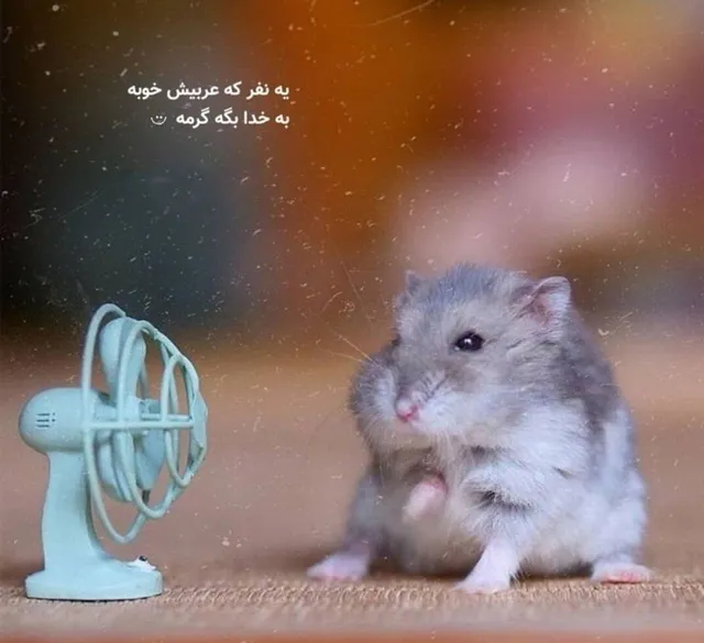 عکس پروفایل خنده دار کارتونی