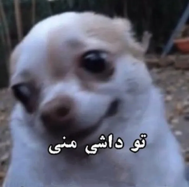 عکس پروفایل خنده دار برای گروه