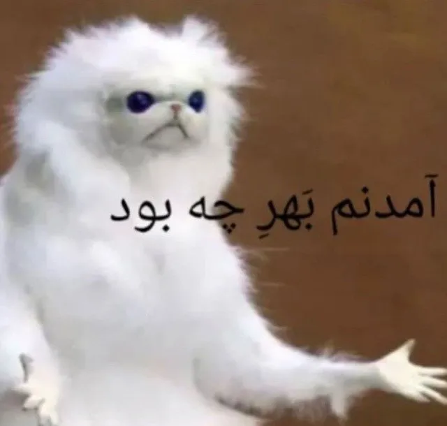عکس پروفایل طنز با جمله خنده دار