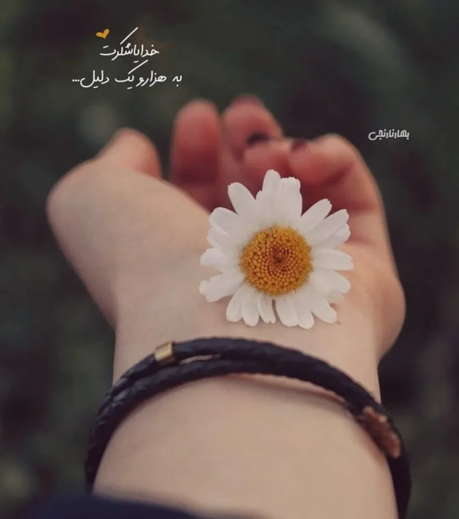 عکس پروفایل خدا