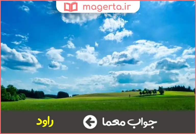 جواب معما بیشه و سبزه زار در جدول