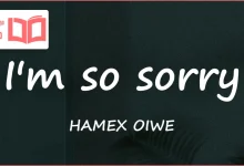 متن و ترجمه آهنگ I’m so sorry از HAMEX OIWE