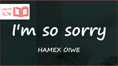 متن و ترجمه آهنگ I’m so sorry از HAMEX OIWE