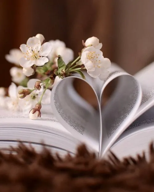 عکس پروفایل قلب و گل برای واتساپ