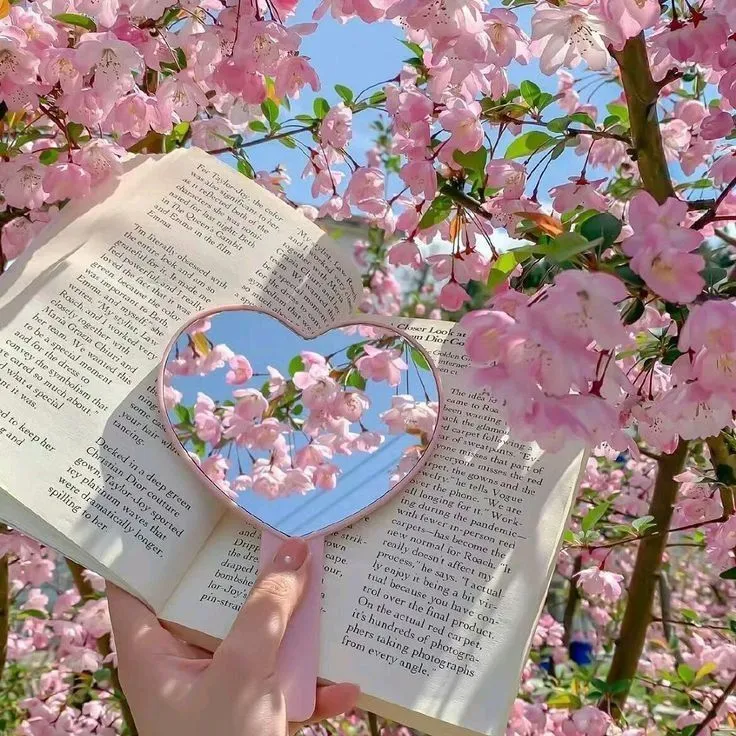 عکس قلب و گل برای پروفایل