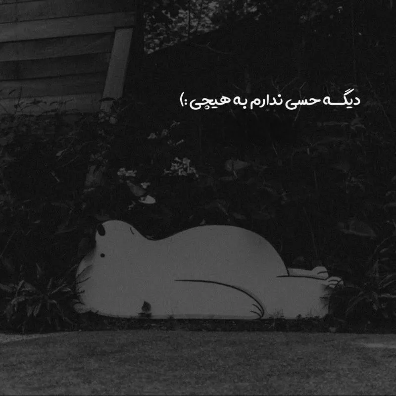عکس پروفایل تیکه دار