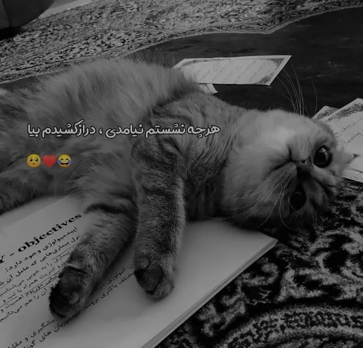 عکس پروفایل پسر با متن کنایه دار