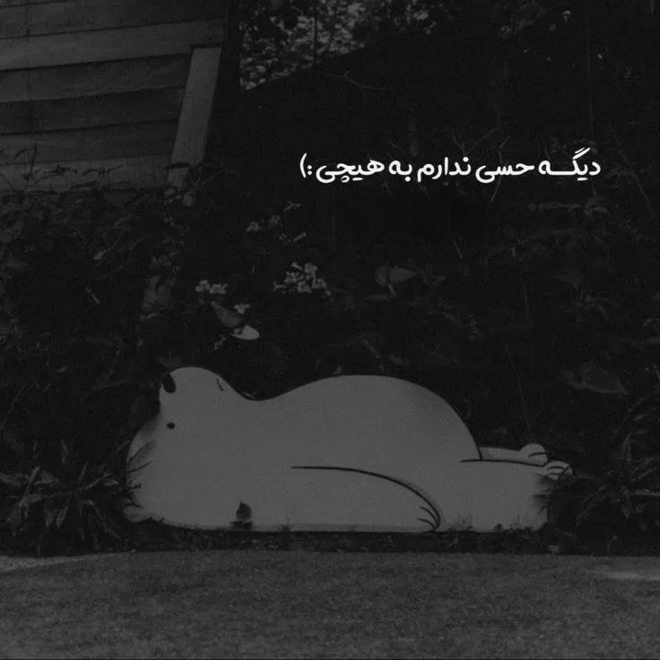 عکس نوشته مغرورانه سنگین