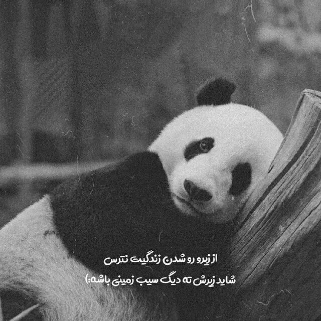 عکس پروفایل داش مشتی تیکه دار