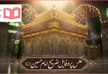 عکس پروفایل ضریح امام حسین (ع)